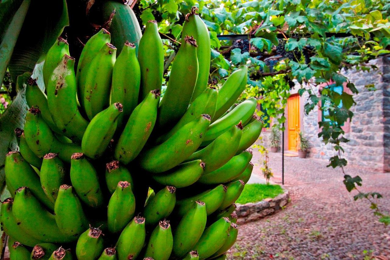 Ourmadeira - Casa Vinhas, Charming Apartamento
