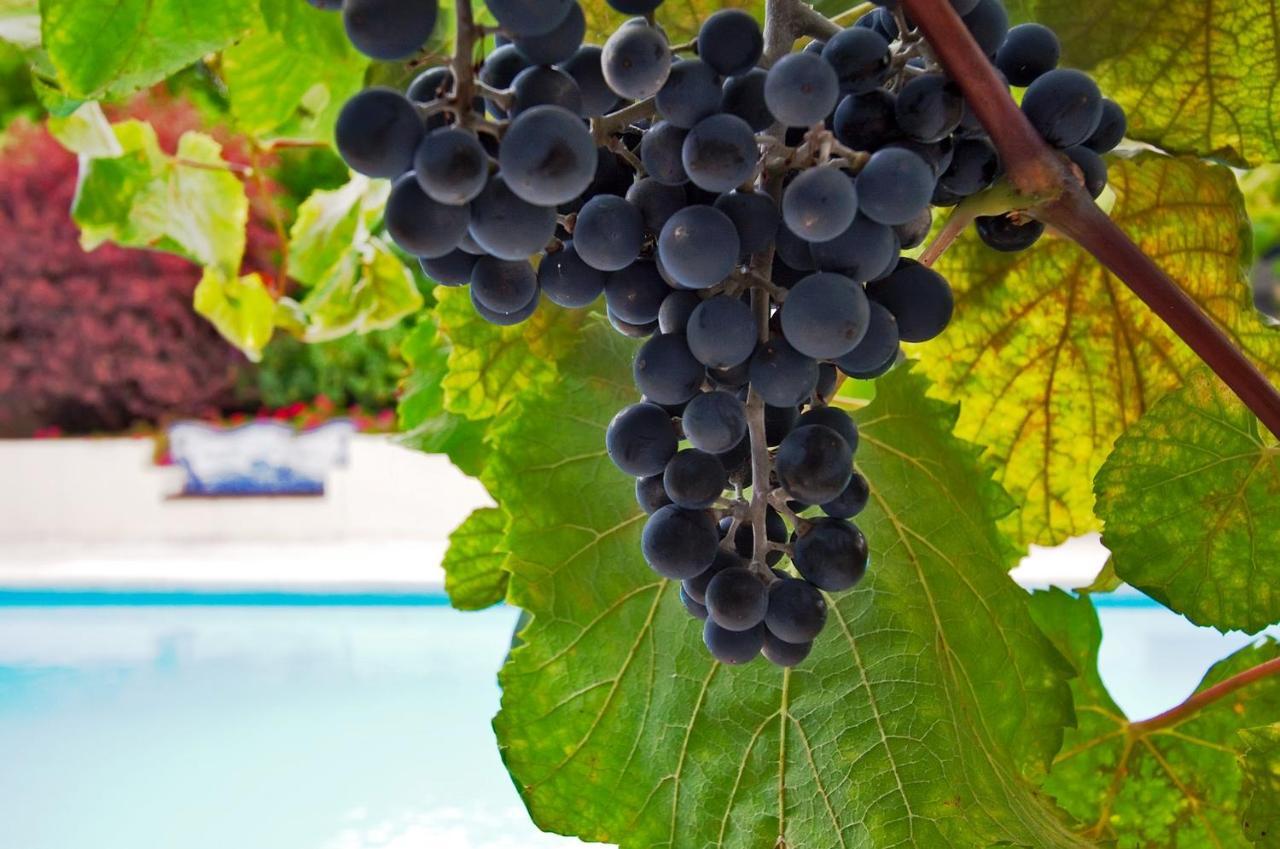 Ourmadeira - Casa Vinhas, Charming * Funchal (Madeira)