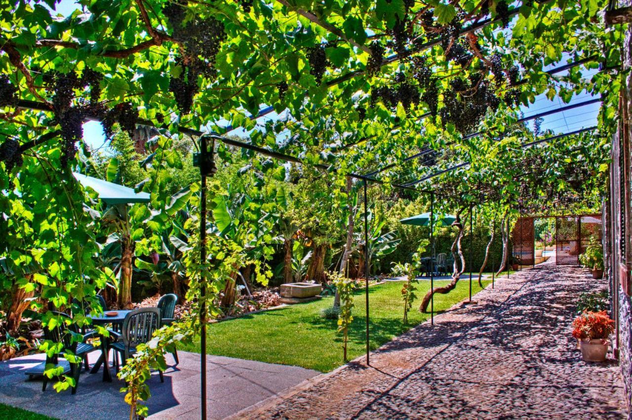 Ourmadeira - Casa Vinhas, Charming Apartamento *